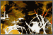 Carbon Four: Click to visit