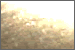 Crucial Systems: Click to visit