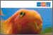 Guidance Recordings: Click to visit