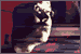 Thai Soul: Click to visit