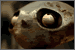 Rust Boy: Click to visit