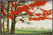 Seasons Recordings: Click to visit